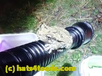 /home//u458753944/public_html/sourcegallery///////Roxborough Toad Detour/2022/2022-04-26/P4261110.JPG
